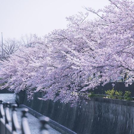 Kamo River J~House Kyoto Exterior foto